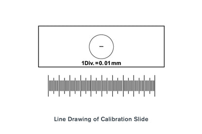 Microscope Calibration Slide