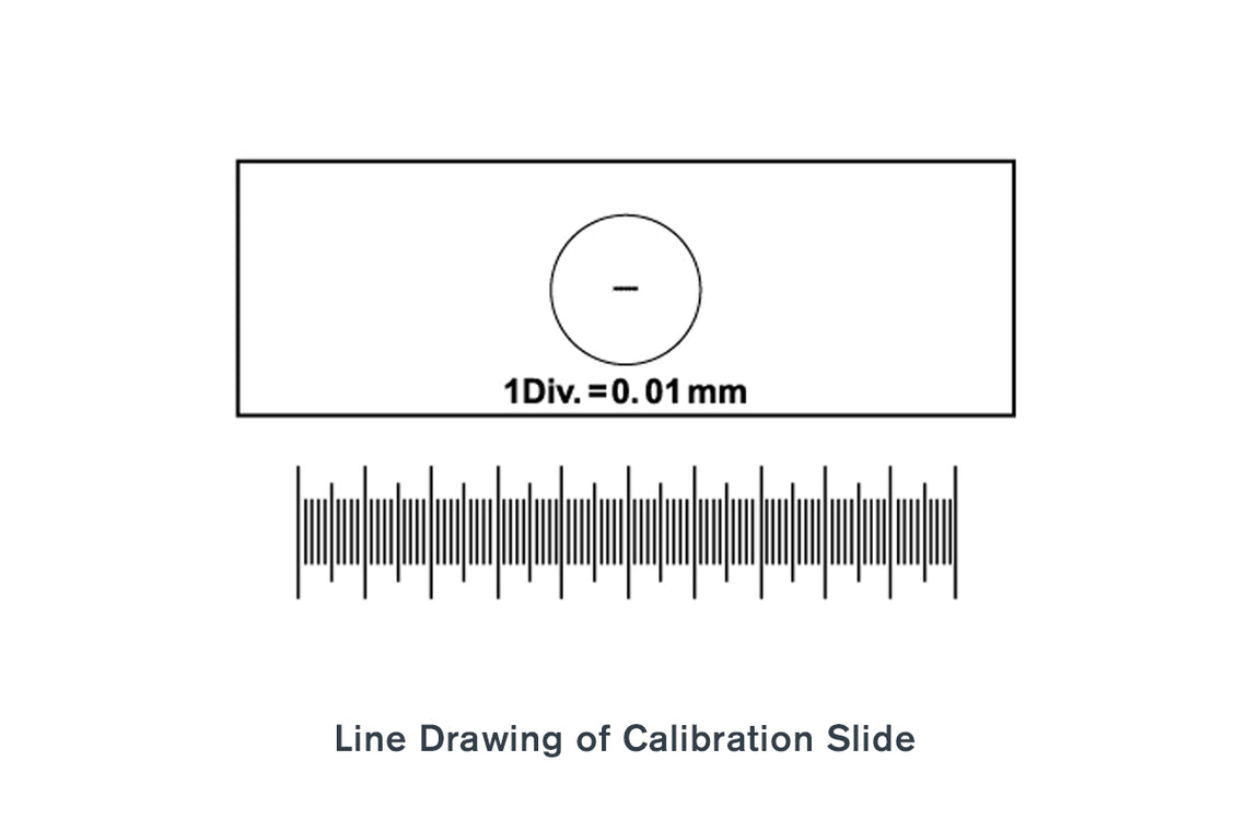 Microscope Calibration Slide Celestron