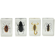 3D Bug Specimen Kit #1