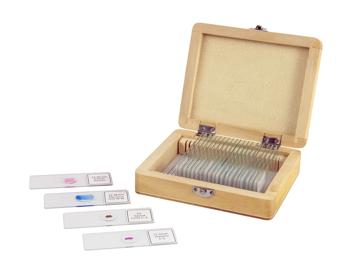 25 Piece Prepared Microscope Slide Kit