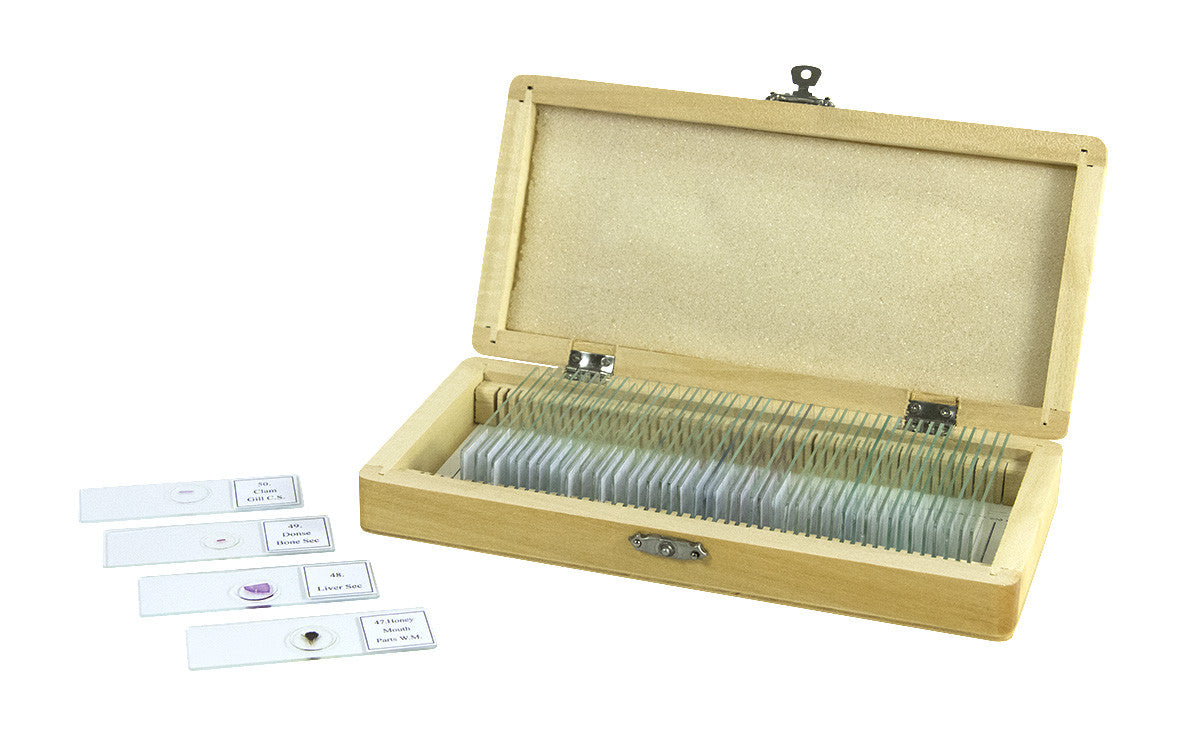 Choose a Durable Microscope Slides Wooden Case For Your Slide Storage | Eberbach Cabinets Choose a Durable Microscope Slides Wooden Case For Your Slide Storage | Eberbach Cabinets