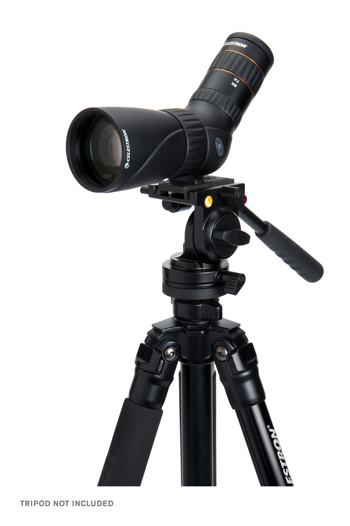 Hummingbird 9-27x56mm ED Angled Zoom Micro Spotting Scope – Celestron