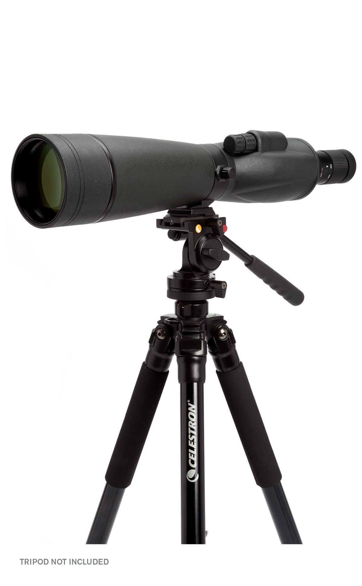 TrailSeeker 20-60x80 Straight Zoom Spotting Scope