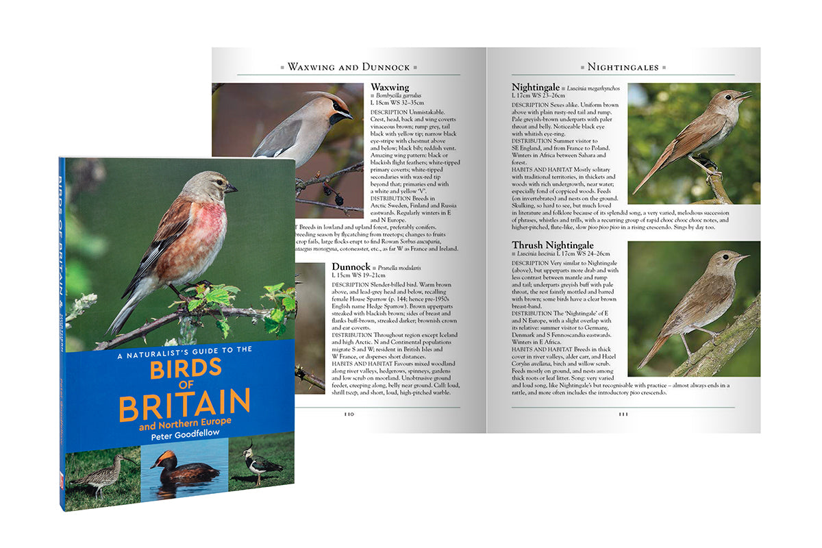 Birder's Starter Outland X 8x32mm Roof Binoculars Kit