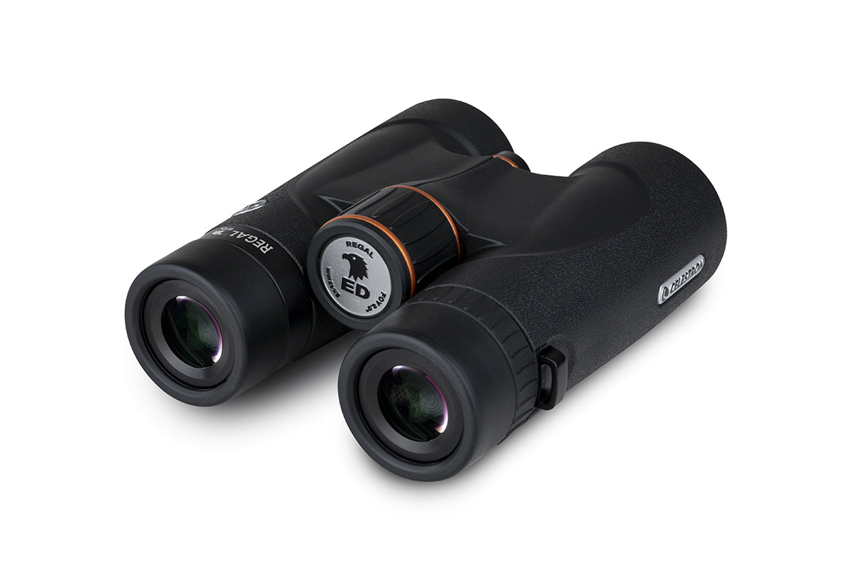 Regal ED 8x42 Roof Prism Binoculars – Celestron