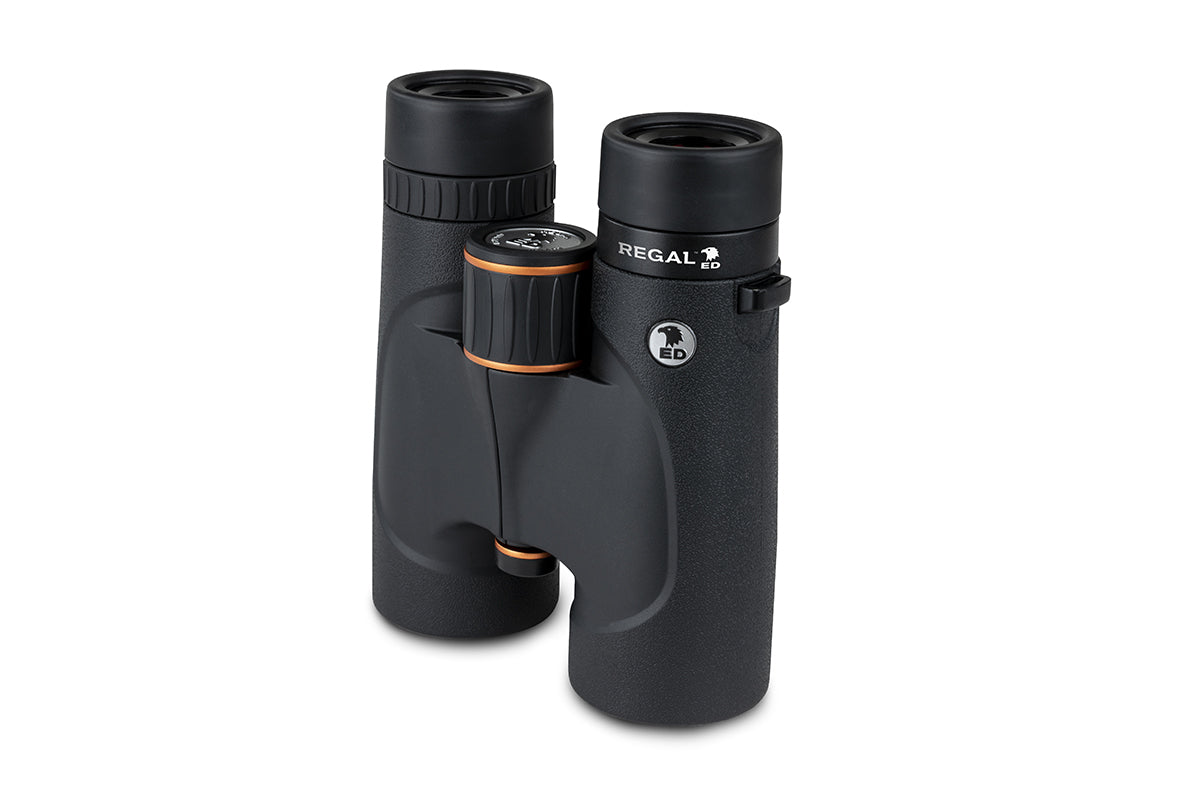 Regal ED 8x42 Roof Prism Binoculars – Celestron