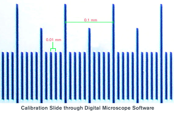 Microscope Calibration Slide