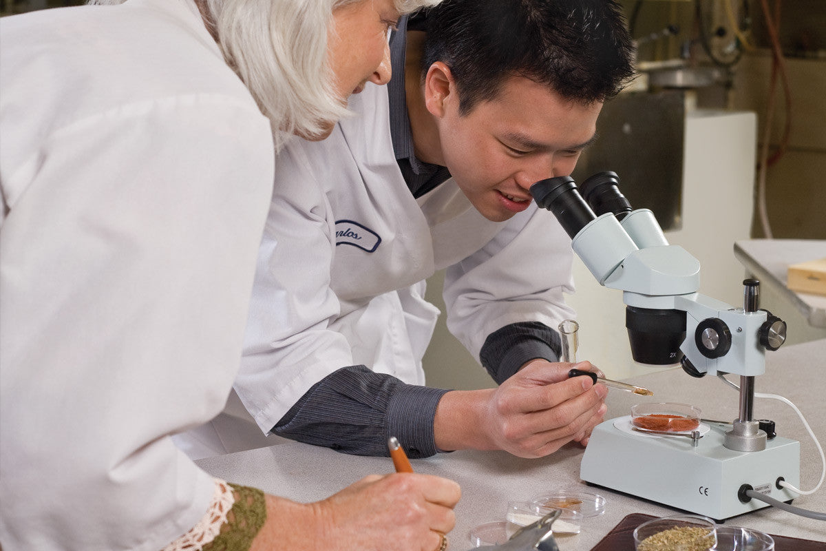 Professional Stereo Zoom Microscope