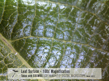 COSMOS 3 MP LCD Handheld Digital Microscope