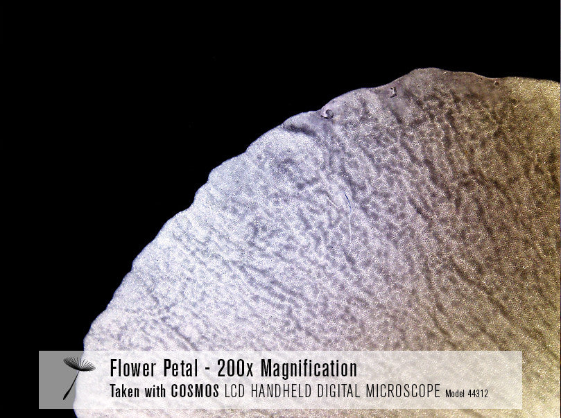 COSMOS 3 MP LCD Handheld Digital Microscope