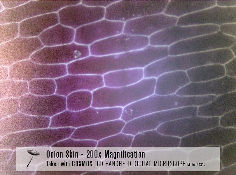 COSMOS 3 MP LCD Handheld Digital Microscope