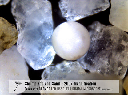 COSMOS 3 MP LCD Handheld Digital Microscope