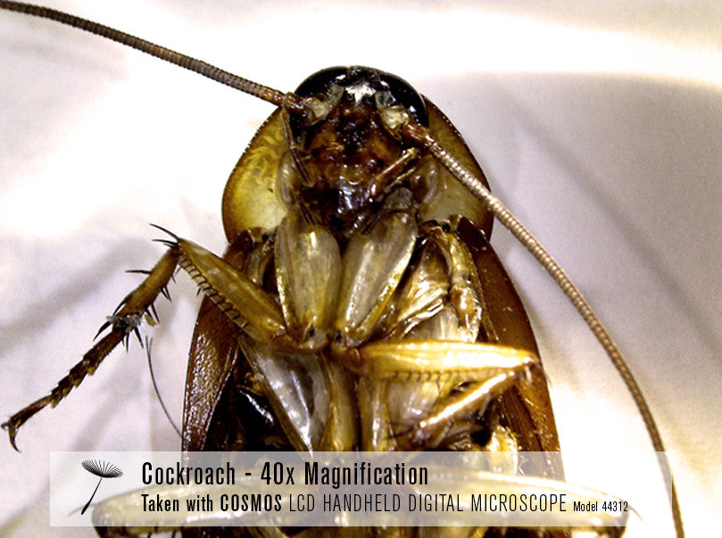 COSMOS 3 MP LCD Handheld Digital Microscope