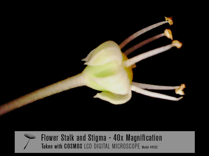 COSMOS 5 MP LCD Desktop Digital Microscope