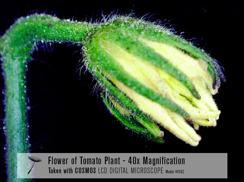 COSMOS 5 MP LCD Desktop Digital Microscope