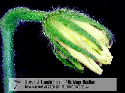 COSMOS 5 MP LCD Desktop Digital Microscope