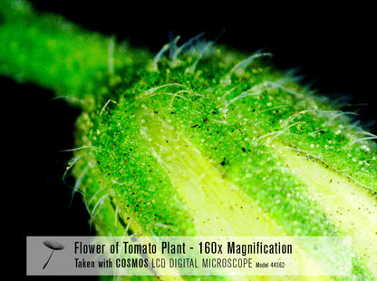 COSMOS 5 MP LCD Desktop Digital Microscope