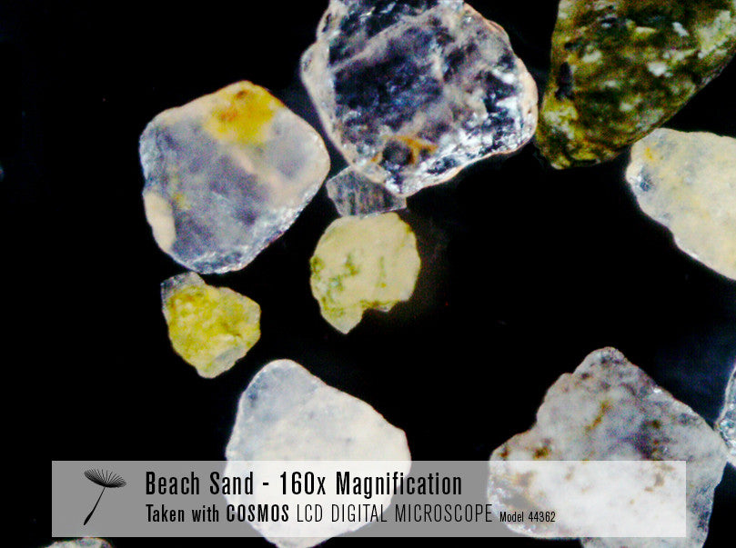 COSMOS 5 MP LCD Desktop Digital Microscope