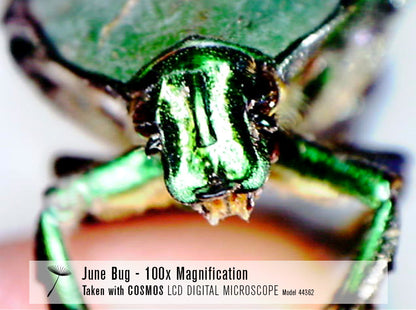 COSMOS 5 MP LCD Desktop Digital Microscope