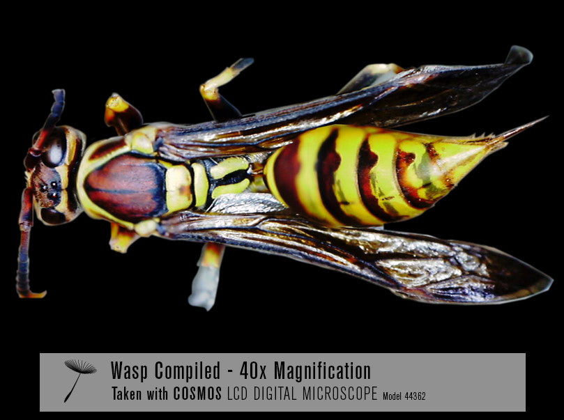 COSMOS 5 MP LCD Desktop Digital Microscope