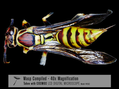 COSMOS 5 MP LCD Desktop Digital Microscope